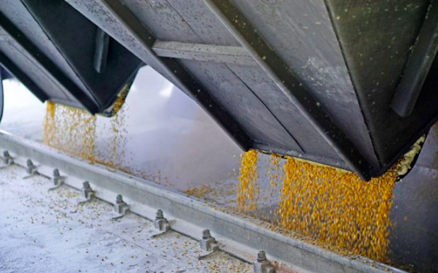 Свежие новости: Ізраїльський імпортер відмовився від краденого зерна через загрозу санкцій, - ЗМІ