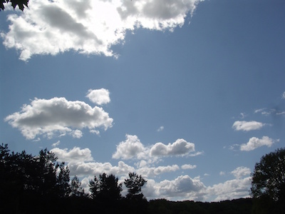 Свежие новости: Прогноз Николаевского гидрометеоцентра