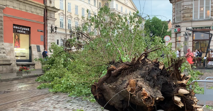 Свежие новости: Последствие непогоды в Украине - Затопленные улицы, поваленные деревья