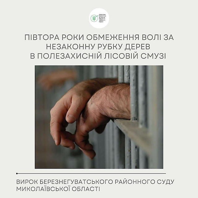 Свежие новости: Мешканця Снігурівки приговорили до 1,5 роки вʼязниці за незаконну вирубку восьми акацій в полезахисній лісовій смузі