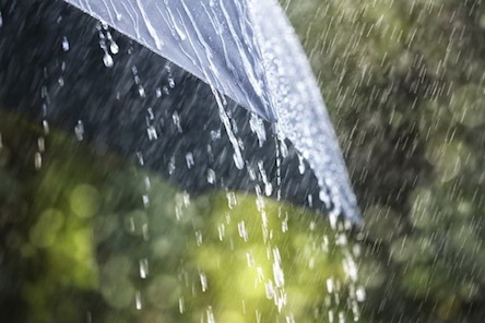 Свежие новости: В Украине ожидаются сильные ливни