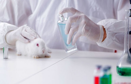 Свежие новости: Минздрав хочет запретить тестирование косметики на животных