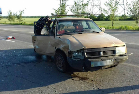 Свежие новости: ДТП на трассе «Благовещенское-Николаев»: есть пострадавшие