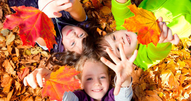 Свежие новости: В школах Николаева перенесли на неделю начало осенних каникул