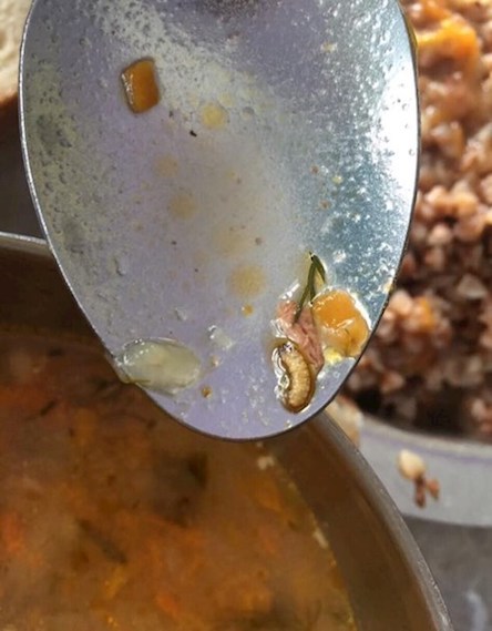 Свежие новости: Скандал в харьковском вузе: будущих летчиков кормили червяками и тараканами