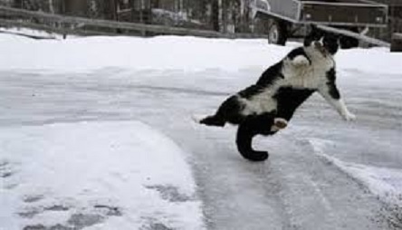 Свежие новости: Дождь и утром гололед: погода в Николаеве на завтра