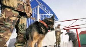 Свежие новости: Пограничники задержали двух человек за торговлю человеческими органами