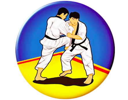 Свежие новости: Южноукраїнські сумоїсти взяли участь у змаганнях на Кубок України серед дорослих