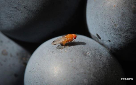 Свежие новости: Ученые нашли способ предсказать смерть