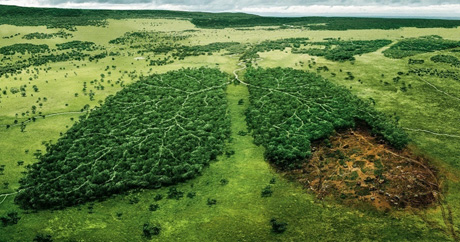 Свежие новости: На Николаевщине на защиту окружающей среды поступило почти 40 миллионов налога