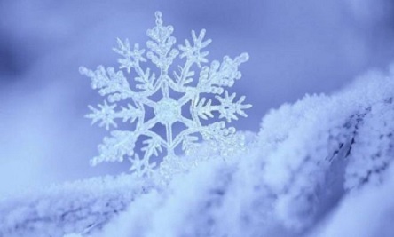 Свежие новости: Праздники 21 ноября - День достоинства и свободы, десантников и Собор архистратига Михаила