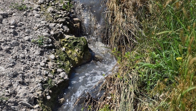Свежие новости: В Николаеве канализация по берегу течет прямо в реку