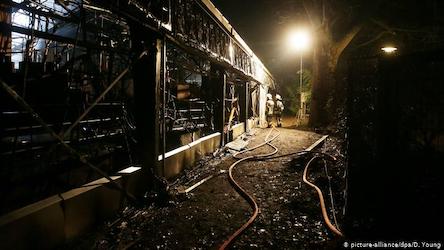 Свежие новости: Новорічна ніч: у Німеччині горів зоопарк, загинули всі мавпи