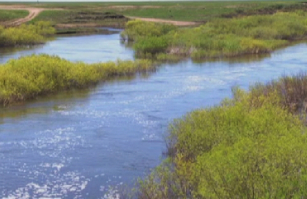 Свежие новости: В Первомайске женщина подняла экстренные службы на поиск сына, который мог утонуть в реке, а он гостил у бабушки