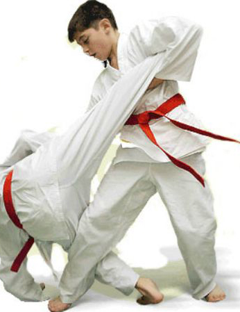 Фото Айкидо для детей