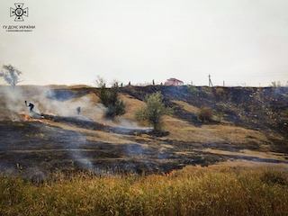 Свежие новости: На Миколаївщині підпалили ліс
