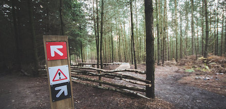 Свежие новости: В Закарпатской области погибло пять человек в ДТП с участием лесовоза