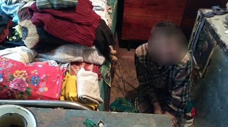 Свежие новости: 