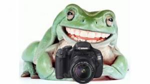 Свежие новости: Новая подборка фотожаб от «Контакта», посвященных скандальной сессии