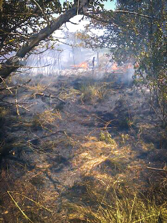 Свежие новости: Масштабный пожар на Кинбурнской косе три часа тушили местные жители