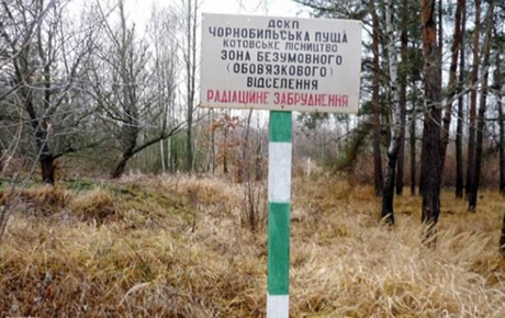 Фото новости: В Чернобыльской зоне горит лес Свежие новости: В Чернобыльской зоне горит лес