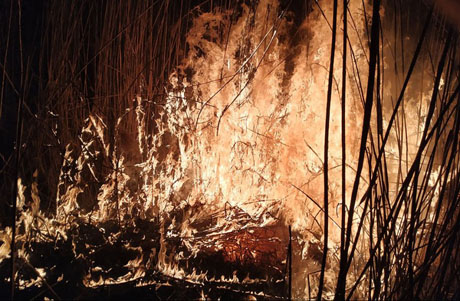 Свежие новости: На Николаевщине за сутки шесть раз тушили сухую траву