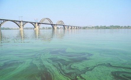 Свежие новости: 