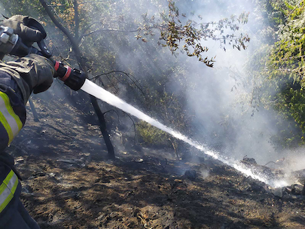 Свежие новости: Вогнеборці Миколаївщини загасили 18 пожеж в екосистемах