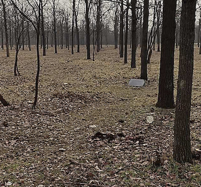 Свежие новости: Жители Николаева используют парк Дубки для захоронения домашних питомцев