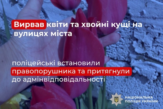Свежие новости: Вирвав квіти та хвойні кущі на вулицях міста: у Миколаєві поліцейські встановили правопорушника