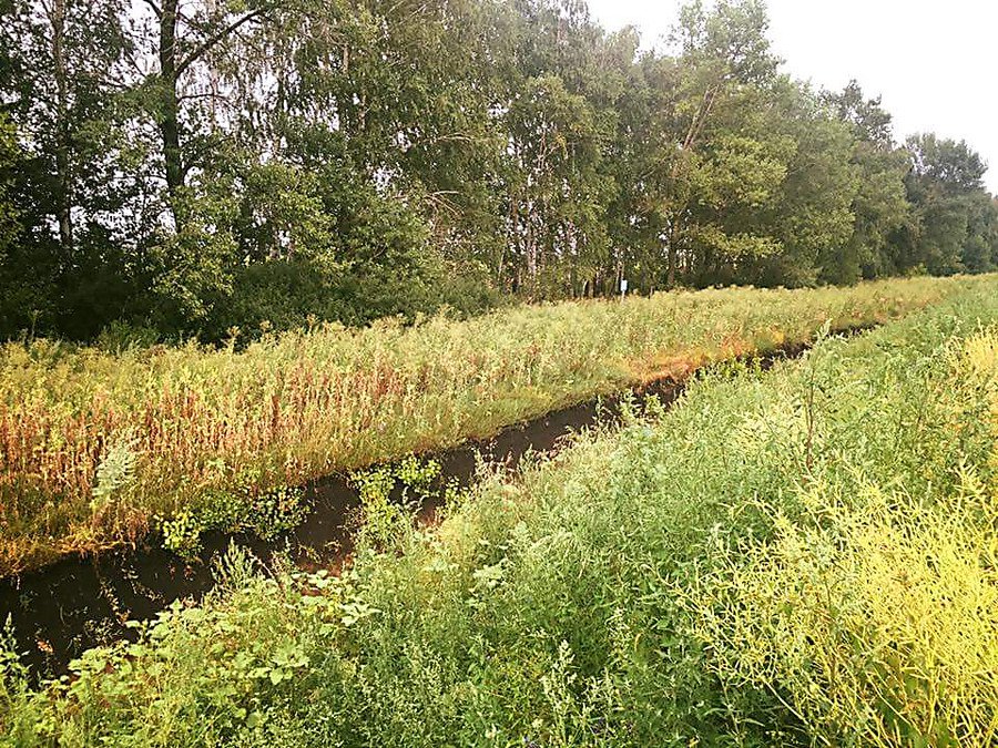 Свежие новости: «Стена Яценюка» на границе с РФ – это яма стоимостью 4 млрд.