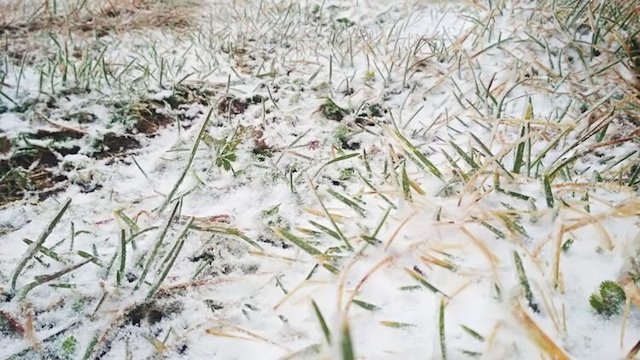 Свежие новости: Сегодня в Украине выпал первый снег