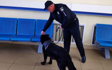 Свежие новости: В Одессе 