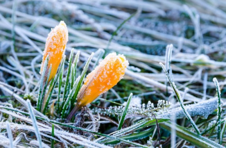 Свежие новости: Вторник в Украине будет холодным и со снегом на востоке