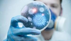 Свежие новости: В Николаеве грибы убивают людей