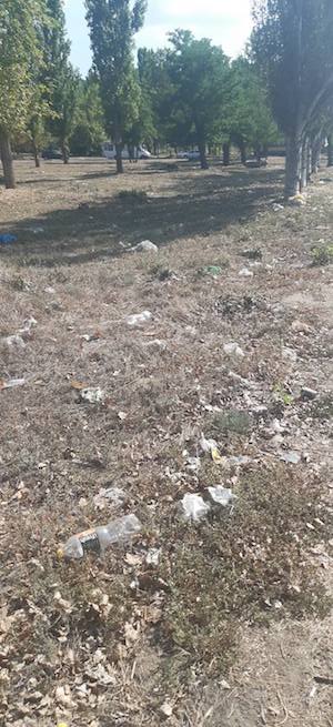Свежие новости: Жители Николаева жалуются на обилие мусора, которые сбрасывают дальнобойщики