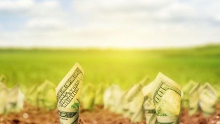 Свежие новости: Рада хочет продлить мораторий на продажу земли