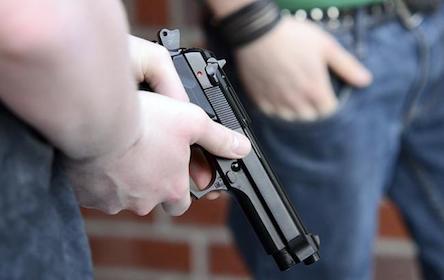 Свежие новости: 