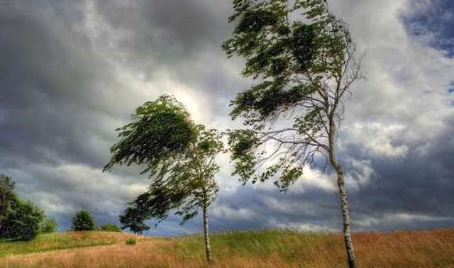 Свежие новости: Завтра у Миколаєві та області прогнозують сильний вітер