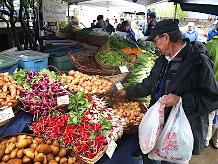 Свежие новости: Полиция требует закрыть все рынки Одесской области