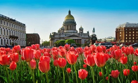 Свежие новости: 1 мая: куда пойти сегодня