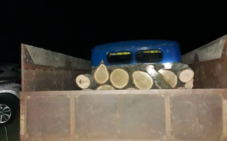 Свежие новости: В Арбузинской ОТГ госэкоинспекторы и полиция выявили очередную незаконную порубку ясеней и дубов