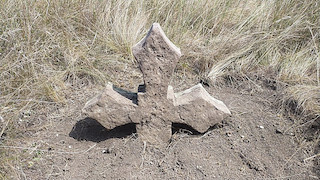 Свежие новости: В Новоодеській громаді можуть ліквідувати кладовище 18 століття