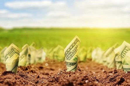 Свежие новости: После земельной реформы цена сельхозземли в Украине вырастет — Минэкономики