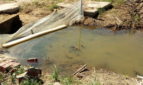 Свежие новости: В Вознесенске предпринимателю за слив отходов на землю придется заплатить 91 тыс. грн. штрафа