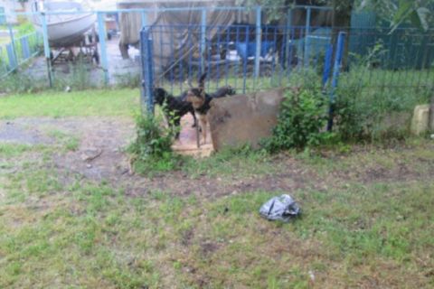 Свежие новости: Мать оставила новорожденного умирать на земле
