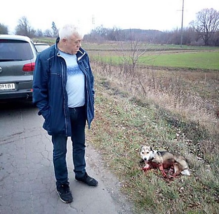 Свежие новости: ВИДЕО: В Хмельницкой области чиновник привязал к автомобилю и протащил по дороге собаку - его остановил спецназовец