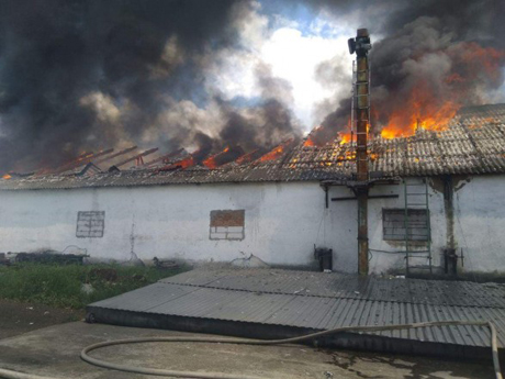 Свежие новости: В Кировоградской области горел маслозавод