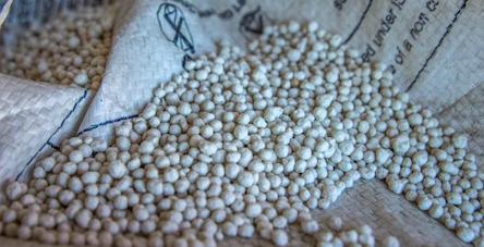 Свежие новости: Ціни на вітчизняні добрива досягли мінімальних показників