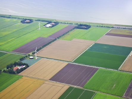 Свежие новости: Минимальный размер налогов для собственников сельхозземли вступил в силу. В среднем - 1,4 тыс. гривен за гектар